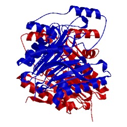 Image of CATH 1p4v