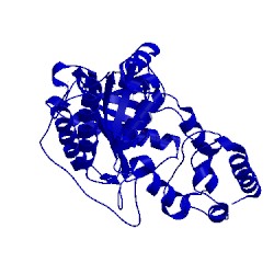 Image of CATH 1p52