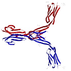 Image of CATH 1p53