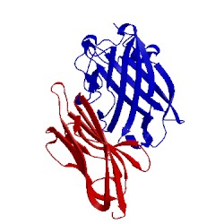 Image of CATH 1p6a