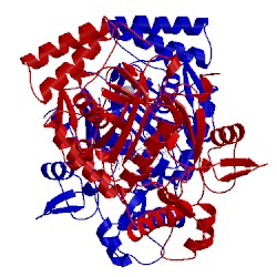 Image of CATH 1p6h