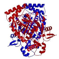 Image of CATH 1p6k