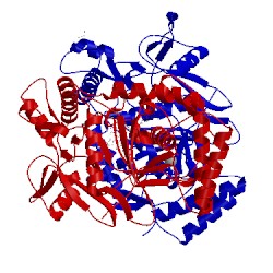 Image of CATH 1p6l