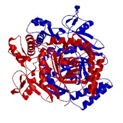 Image of CATH 1p6m