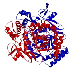 Image of CATH 1p6n