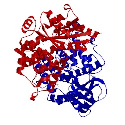 Image of CATH 1p6x