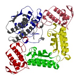 Image of CATH 1p7o