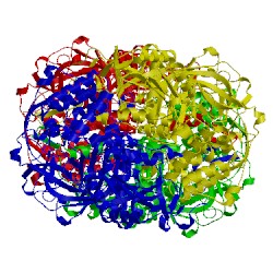 Image of CATH 1p80