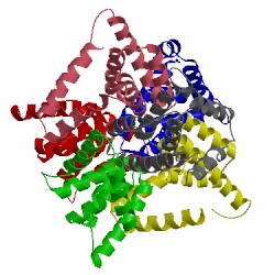 Image of CATH 1p8c