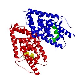 Image of CATH 1p8d
