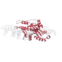 Image of CATH 1p8k