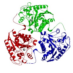 Image of CATH 1p8n