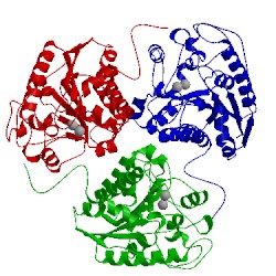 Image of CATH 1p8p