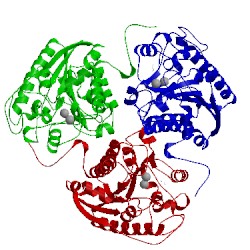 Image of CATH 1p8q