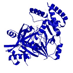 Image of CATH 1p9b