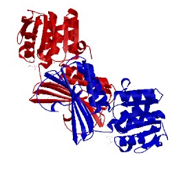Image of CATH 1p9l
