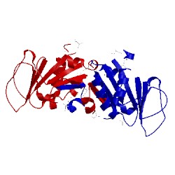 Image of CATH 1p9n