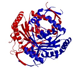 Image of CATH 1p9o