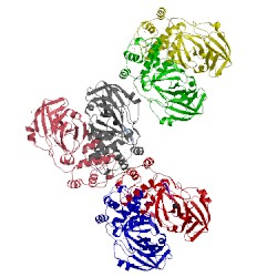 Image of CATH 1p9u