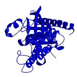 Image of CATH 1pa9