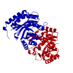 Image of CATH 1pck