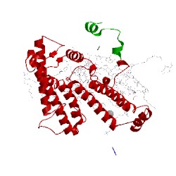Image of CATH 1pcr