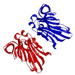 Image of CATH 1pcv