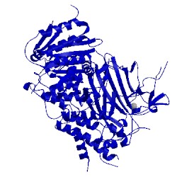 Image of CATH 1pcx