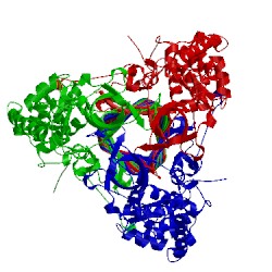 Image of CATH 1pdl