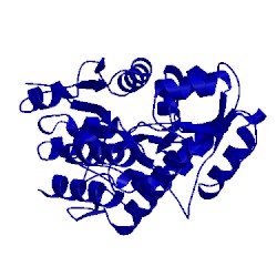 Image of CATH 1peb