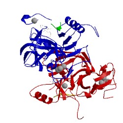 Image of CATH 1peg