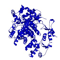 Image of CATH 1pem