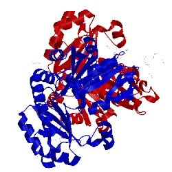 Image of CATH 1pff