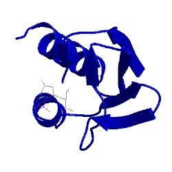 Image of CATH 1pfh