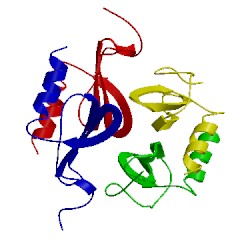 Image of CATH 1pfn