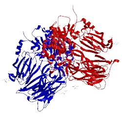 Image of CATH 1pfq