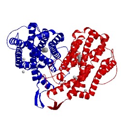 Image of CATH 1pfr