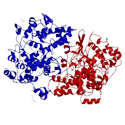 Image of CATH 1pge