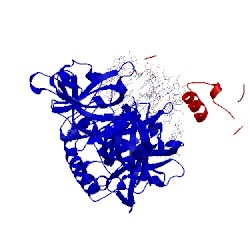 Image of CATH 1ph1