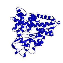 Image of CATH 1phd