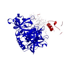 Image of CATH 1phj