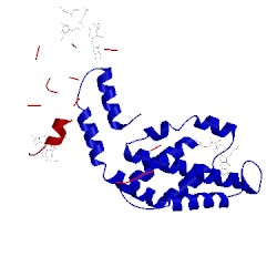 Image of CATH 1phn