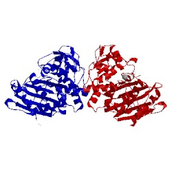 Image of CATH 1pi4