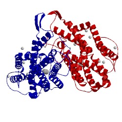 Image of CATH 1piy