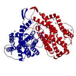 Image of CATH 1pj1