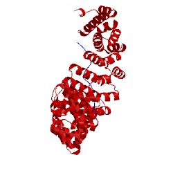 Image of CATH 1pjm