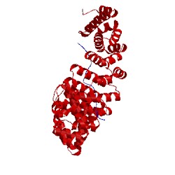 Image of CATH 1pjn