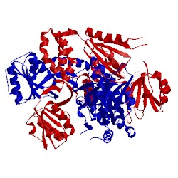 Image of CATH 1pjt