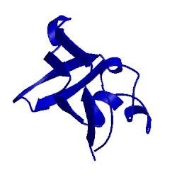 Image of CATH 1pkt