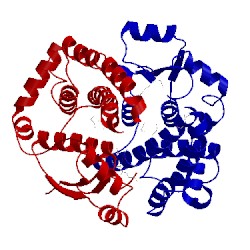 Image of CATH 1pkw